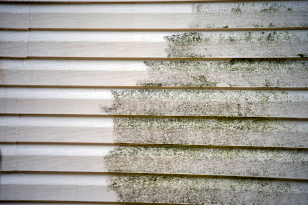 Best Property Management Cleanouts  in Redland, AL